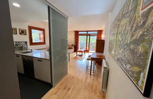 Benasque Apartment | B48 - Apartamento Peguera - Villmor