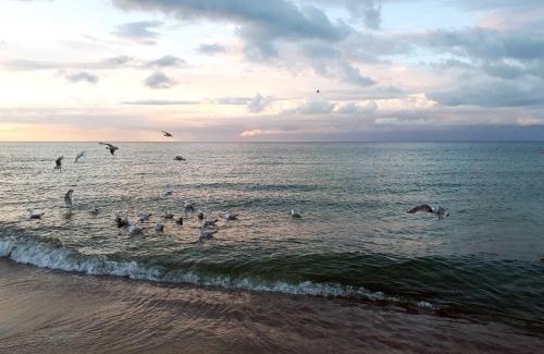 Ostseebad Baabe Apartment | Baabe Villen Ensemble FeWo 31 Stra