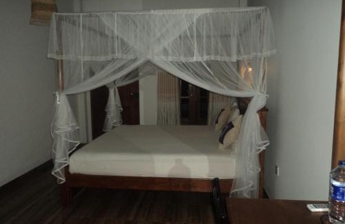 Udawalawa House | Baby Elephant Green House