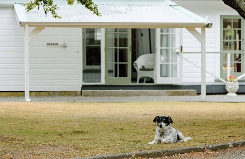 Palliser Bay Cottage | Bach 1 - Loburn Bach Accommodation, in the Lake Ferry Village