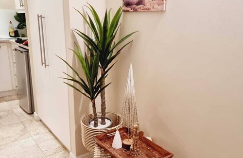 Clifton Apartment | Bachelor Unit , 1.5 Bedroom, 1 Bathroom, Sleeps