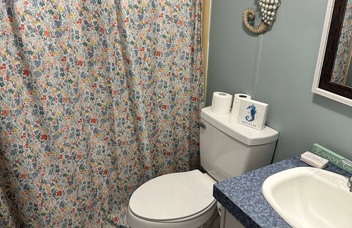 Edenton House | Back to the Basics