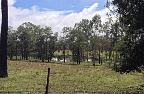 Mount Maria Cabin | Baffle Creek Cabin, pet friendly'
