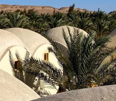 Al Bawiti Hotel | Bahariya Oasis hotel