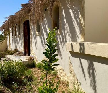 Al Bawiti Hotel | Bahariya Oasis hotel