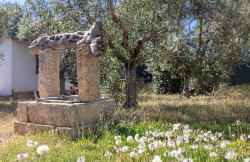 Pizzo Apartment | Baita Loredana - Salento Reservation