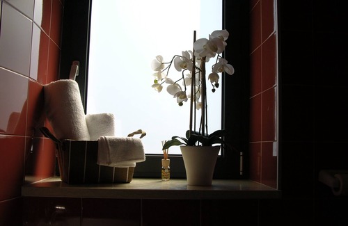 Isola del Borgo Antico Bed & Breakfast | baja delle sirene