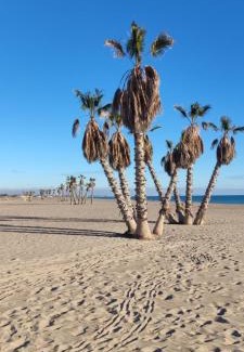 Canet de Berenguer Apartment | Balcón del Mar