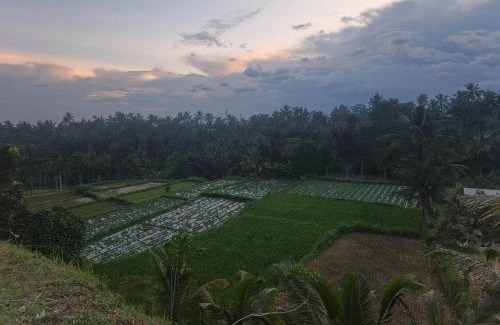 Kecamatan Sikur Apartment | Bale bangket
