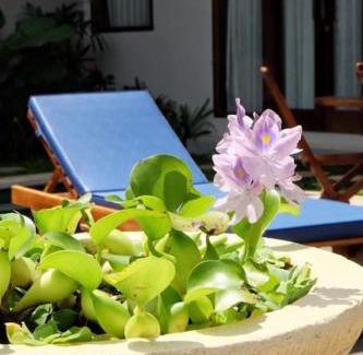 Kampial House | Bali Cerida 21