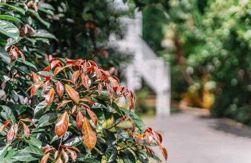 Balmoral House | Balmoral Queenslander