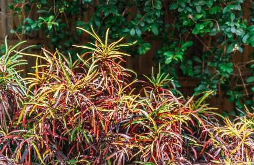 Balmoral House | Balmoral Queenslander