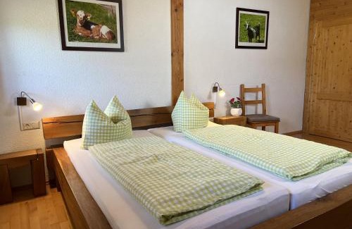 Titisee-Neustadt Apartment | Balzenhof