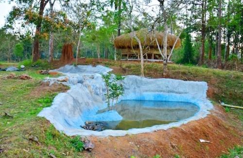 Kaimane House | Bamboo world kuruva
