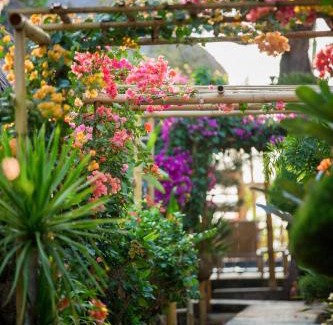 Gili Air Resort | Bambu Cottages