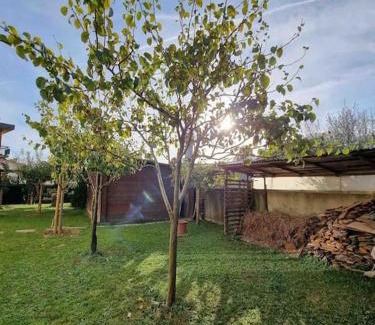 Barberino di Mugello House | BarberinoRelax