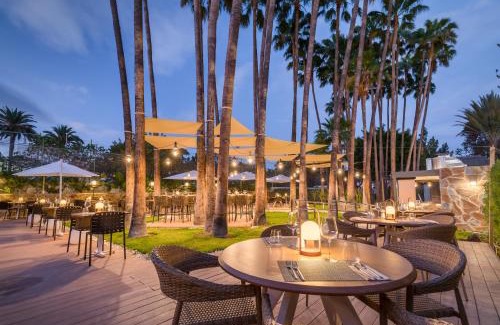 Playa del Ingles Hotel | Barceló Margaritas Royal Level Adults Only
