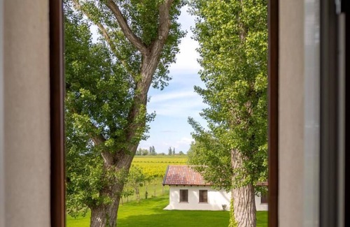 Torre di Mosto Apartment | Barchessa Cappelletto apartment 2P1C for 4 persons