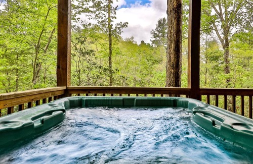 Blue Ridge Cabin | Bare Bear | Cherry Log, Ga
