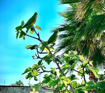 Municipio 5 House | Bari Sea Paradise View