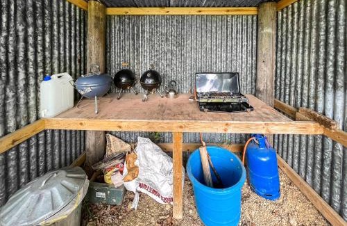 Ashford House | Barn Owl - Uk49932