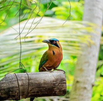 Canaveral Hotel | Barranquero Hotel