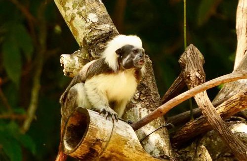 Canaveral Hotel | Barranquero Hotel