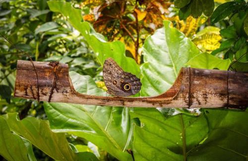 Canaveral Hotel | Barranquero Hotel