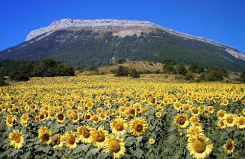 Neffes House | Bas de villa, 2 terrasses, piscine, SPA, sauna.