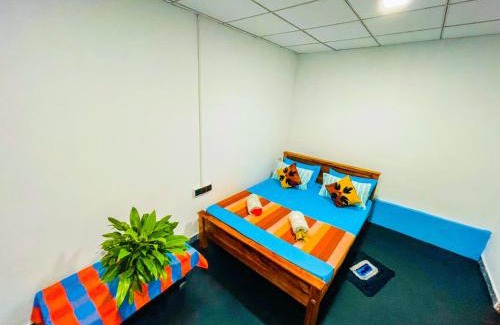 Sigiriya House | Basilu Homestay