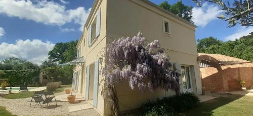 Blanquefort House | Bastide De Mongiraud