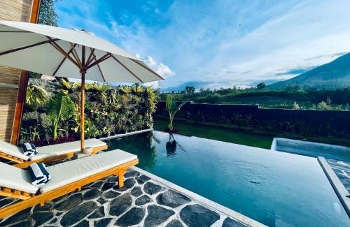 Songan Bed & Breakfast | Batur Panorama