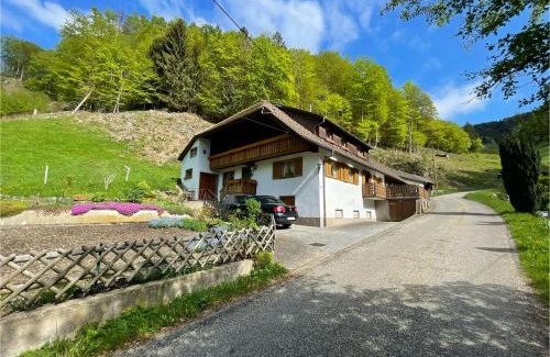 Munstertal House | Bauernhaus im Münstertal