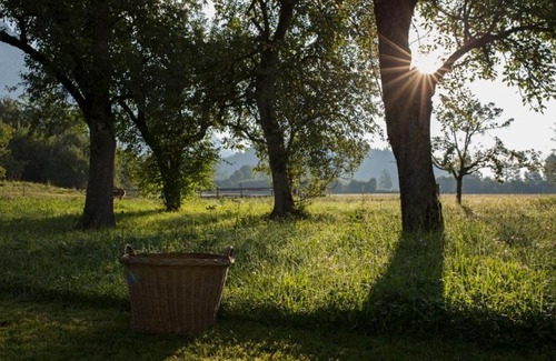 Scheffau am Wilden Kaiser Bed & Breakfast | Bauernhof Lindenhof