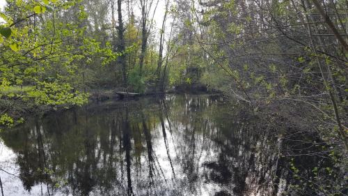Bocholt Cabin | Bauernhof Barlo