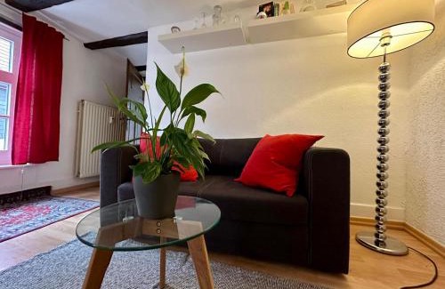 Bad Hersfeld Apartment | Baumeisterhaus Apartment