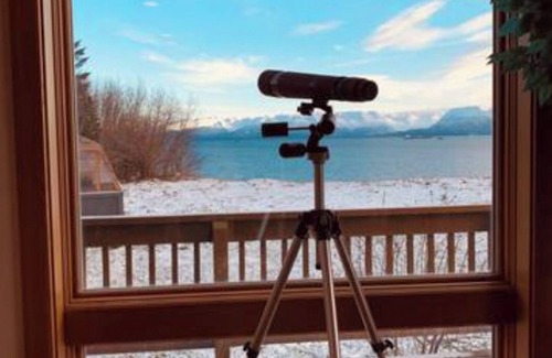 Homer House | Bay Bluff Haven: Ocean, Glacier, & Wildlife View