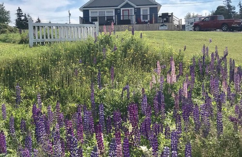 Bayview Cottage | Bay Dreamz Waterview Cottage