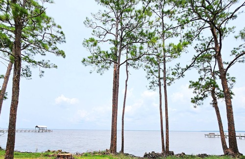 Eastpoint House | Bayfront Home just minutes from St. George Island! Sleeps 8! Private Estate!