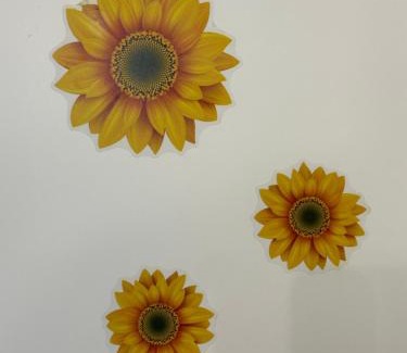 Pisa Bed & Breakfast | Bcube - santa Bona Bed & Breakfast