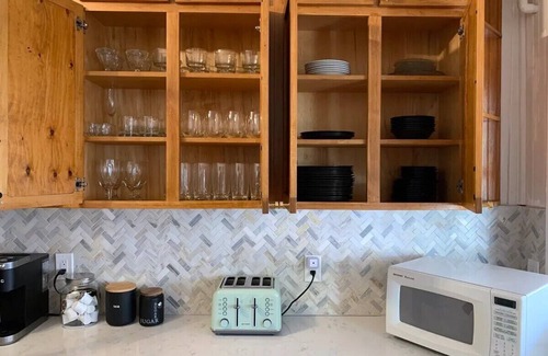 Jacksonville Beach House | Be A Nomad | Fig Tree | Lower