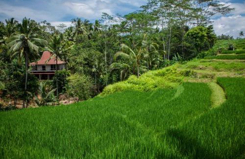 Kedewatan Villa | Be Bali Stay