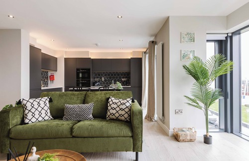 Portrush Apartment | Be inspired by The Forest. Capturing all the transformative magic of forest