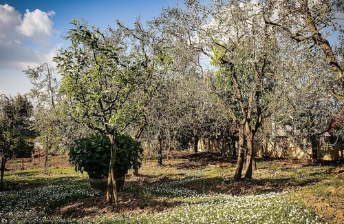 Mercatale Val di Pesa Apartment | Beautiful apartment for 6 guests with WIFI and terrace, close to Greve In Chianti