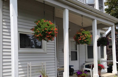 West Cape May Apartment | BEACH, BIRDING, SIGHTSEEING, theater, WINERIES, breweries, distilleries, carriage rides...SHOP local favorites from art to honey.