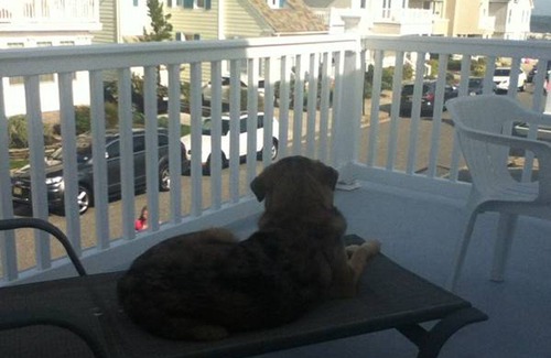 Ventnor City House | Beach Block Victorian