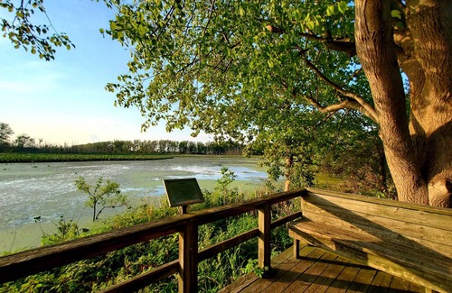 Huron Condo | Beach Community Cottage - 3 bdrm/2bath