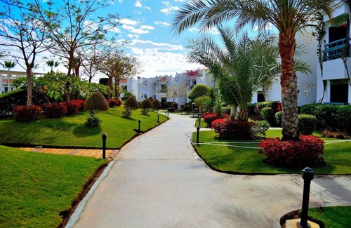 Sharm El Sheikh Hotel | Beach-Friendly Room with Water Sports and Great Dining Experience