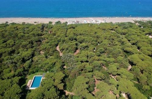 Marina di Bibbona Villa | Beach Front Bibbona