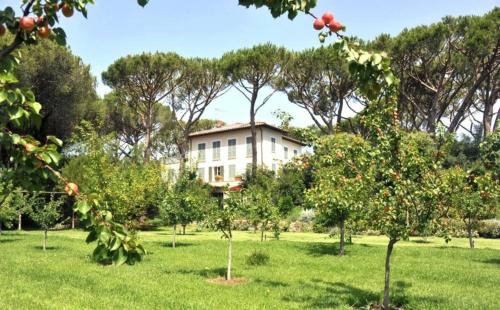 Marina di Bibbona Villa | Beach Front Bibbona